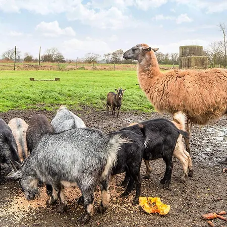 4 Person In Дом отдыха Hojer