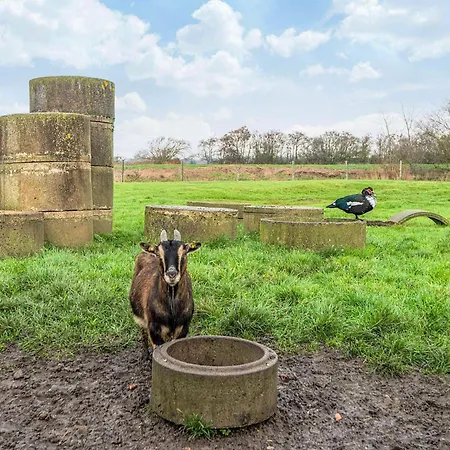 펜션 4 Person In *