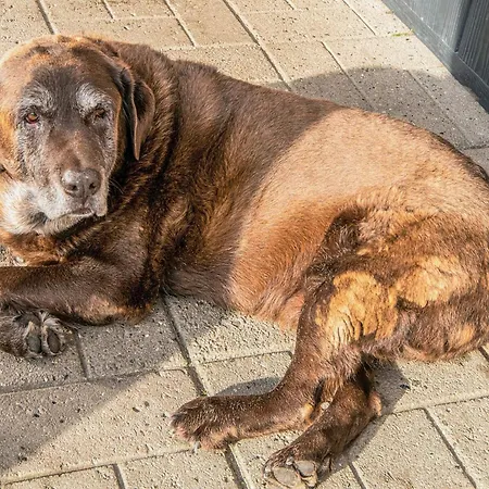 Дом отдыха 4 Person In Hojer