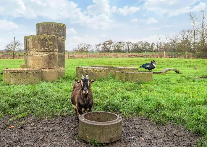 Holiday home 4 Person In *